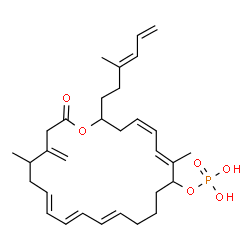 ChemSpider 2D Image | Oxacyclodocosa-7,9,11,17,19-pentaen-2-one, 5,17-dimethyl-4-methylene-22-(3-methyl-3,5-hexadienyl)-16-(phosphonooxy)- | C31H45O6P