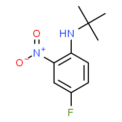 ChemSpider 2D Image | N-(tert-butyl)-N-(4-fluoro-2-nitrophenyl)amine | C10H13FN2O2