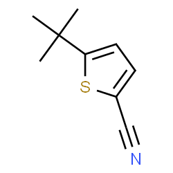 ChemSpider 2D Image | 5-tert-Butylthiophene-2-carbonitrile | C9H11NS