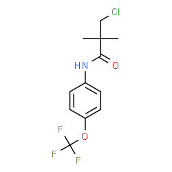 ChemSpider 2D Image | 3-Chloro-2,2-dimethyl-N-[4-(trifluoromethoxy)phenyl]propanamide | C12H13ClF3NO2