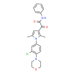 ChemSpider 2D Image | 2-{1-[3-Chloro-4-(4-morpholinyl)phenyl]-2,5-dimethyl-1H-pyrrol-3-yl}-2-oxo-N-phenylacetamide | C24H24ClN3O3