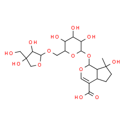 ChemSpider 2D Image | 1-({6-O-[3,4-Dihydroxy-4-(hydroxymethyl)tetrahydro-2-furanyl]hexopyranosyl}oxy)-7-hydroxy-7-methyl-1,4a,5,6,7,7a-hexahydrocyclopenta[c]pyran-4-carboxylic acid | C21H32O14