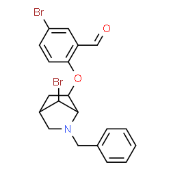 ChemSpider 2D Image | 2-[(2-Benzyl-7-bromo-2-azabicyclo[2.2.1]hept-6-yl)oxy]-5-bromobenzaldehyde | C20H19Br2NO2