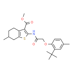 ChemSpider 2D Image | Methyl 2-{[(2-tert-butyl-4-methylphenoxy)acetyl]amino}-6-methyl-4,5,6,7-tetrahydro-1-benzothiophene-3-carboxylate | C24H31NO4S