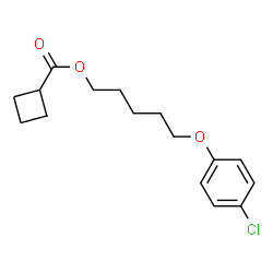 ChemSpider 2D Image | 5-(4-Chlorophenoxy)pentyl cyclobutanecarboxylate | C16H21ClO3