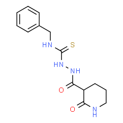 ChemSpider 2D Image | N-Benzyl-2-[(2-oxo-3-piperidinyl)carbonyl]hydrazinecarbothioamide | C14H18N4O2S
