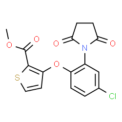ChemSpider 2D Image | Methyl 3-[4-chloro-2-(2,5-dioxo-1-pyrrolidinyl)phenoxy]-2-thiophenecarboxylate | C16H12ClNO5S