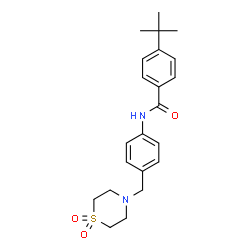 ChemSpider 2D Image | 4-(tert-butyl)-N-{4-[(1,1-dioxo-1lambda~6~,4-thiazinan-4-yl)methyl]phenyl}benzamide | C22H28N2O3S