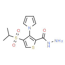 ChemSpider 2D Image | 4-(Isopropylsulfonyl)-3-(1H-pyrrol-1-yl)-2-thiophenecarbohydrazide | C12H15N3O3S2