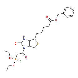 ChemSpider 2D Image | Benzyl 5-{1-[(diethoxyphosphoryl)acetyl]-2-oxohexahydro-1H-thieno[3,4-d]imidazol-4-yl}pentanoate | C23H33N2O7PS