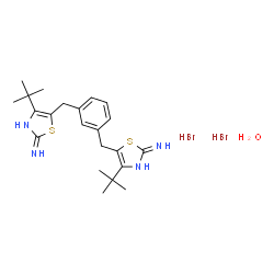 ChemSpider 2D Image | 5,5'-[1,3-Phenylenebis(methylene)]bis[4-(2-methyl-2-propanyl)-1,3-thiazol-2-amine] dihydrobromide hydrate | C22H34Br2N4OS2
