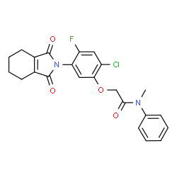 ChemSpider 2D Image | 2-[2-Chloro-5-(1,3-dioxo-1,3,4,5,6,7-hexahydro-2H-isoindol-2-yl)-4-fluorophenoxy]-N-methyl-N-phenylacetamide | C23H20ClFN2O4