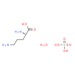 ChemSpider 2D Image | L-Ornithine sulfate hydrate (1:1:1) | C5H16N2O7S