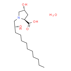 ChemSpider 2D Image | (4R)-4-Hydroxy-1-[(2S)-2-hydroxydodecyl]-L-proline hydrate (1:1) | C17H35NO5