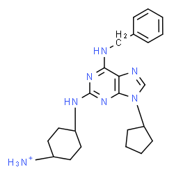 ChemSpider 2D Image | 4-{[6-(Benzylamino)-9-cyclopentyl-9H-purin-2-yl]amino}cyclohexanaminium | C23H32N7