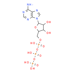 ChemSpider 2D Image | 9-[5-O-(Hydroxy{[hydroxy(phosphonooxy)phosphoryl]oxy}phosphoryl)pentofuranosyl]-9H-purin-6-amine | C10H16N5O13P3