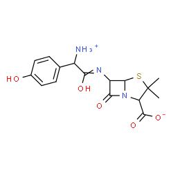 ChemSpider 2D Image | 6-{[Ammonio(4-hydroxyphenyl)acetyl]amino}-3,3-dimethyl-7-oxo-4-thia-1-azabicyclo[3.2.0]heptane-2-carboxylate | C16H19N3O5S