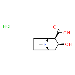 ChemSpider 2D Image | (2R,3S)-3-Hydroxy-8-methyl-8-azabicyclo[3.2.1]octane-2-carboxylic acid hydrochloride (1:1) | C9H16ClNO3