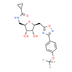 ChemSpider 2D Image | 2,5-Anhydro-6-[(cyclopropylcarbonyl)amino]-1,6-dideoxy-1-{3-[4-(trifluoromethoxy)phenyl]-1,2,4-oxadiazol-5-yl}-D-allitol | C19H20F3N3O6