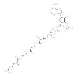 ChemSpider 2D Image | S-{1-[5-(6-Amino-9H-purin-9-yl)-4-hydroxy-3-(phosphonooxy)tetrahydro-2-furanyl]-3,5,9-trihydroxy-8,8-dimethyl-3,5-dioxido-10,14-dioxo-2,4,6-trioxa-11,15-diaza-3lambda~5~,5lambda~5~-diphosphaheptadecan
-17-yl} 2,6-dimethylheptanethioate | C30H52N7O17P3S