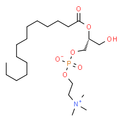 ChemSpider 2D Image | 2-tetradecanoyl-sn-glycero-3-phosphocholine | C22H46NO7P