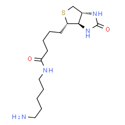 ChemSpider 2D Image | N-(5-Aminopentyl)-5-[(3aR,4S,6aR)-2-oxohexahydro-1H-thieno[3,4-d]imidazol-4-yl]pentanamide | C15H28N4O2S