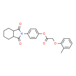ChemSpider 2D Image | 4-(1,3-dioxo-hexahydroisoindol-2-yl)phenyl 2-(2-methylphenoxy)acetate | C23H23NO5