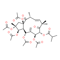 ChemSpider 2D Image | (2R,3R,3aS,4R,6S,7R,10E,12R,13aR)-2,3,4,6,13a-Pentaacetoxy-2,9,9,12-tetramethyl-5-methylene-8,13-dioxo-2,3,3a,4,5,6,7,8,9,12,13,13a-dodecahydro-1H-cyclopenta[12]annulen-7-yl 2-methylpropanoate | C34H46O14
