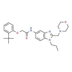 ChemSpider 2D Image | 2-[2-(2-Methyl-2-propanyl)phenoxy]-N-[2-(4-morpholinylmethyl)-1-propyl-1H-benzimidazol-5-yl]acetamide | C27H36N4O3