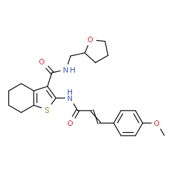 ChemSpider 2D Image | 2-{[3-(4-Methoxyphenyl)acryloyl]amino}-N-(tetrahydro-2-furanylmethyl)-4,5,6,7-tetrahydro-1-benzothiophene-3-carboxamide | C24H28N2O4S