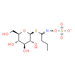 ChemSpider 2D Image | 1-S-[(1E)-N-(Sulfonatooxy)butanimidoyl]-1-thio-beta-D-glucopyranose | C10H18NO9S2