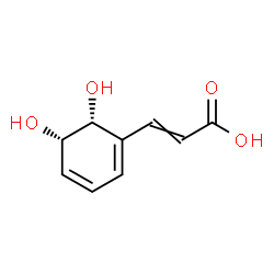 ChemSpider 2D Image | 3-[(5S,6R)-5,6-dihydroxycyclohexa-1,3-dienyl]acrylic acid | C9H10O4