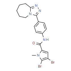 ChemSpider 2D Image | 4,5-Dibromo-1-methyl-N-[4-(6,7,8,9-tetrahydro-5H-[1,2,4]triazolo[4,3-a]azepin-3-yl)phenyl]-1H-pyrrole-2-carboxamide | C19H19Br2N5O