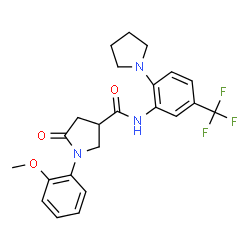 ChemSpider 2D Image | 1-(2-Methoxyphenyl)-5-oxo-N-[2-(1-pyrrolidinyl)-5-(trifluoromethyl)phenyl]-3-pyrrolidinecarboxamide | C23H24F3N3O3