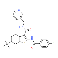 ChemSpider 2D Image | 2-[(4-Chlorobenzoyl)amino]-6-(2-methyl-2-propanyl)-N-(3-pyridinylmethyl)-4,5,6,7-tetrahydro-1-benzothiophene-3-carboxamide | C26H28ClN3O2S