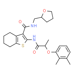 ChemSpider 2D Image | 2-{[2-(2,3-Dimethylphenoxy)propanoyl]amino}-N-(tetrahydro-2-furanylmethyl)-4,5,6,7-tetrahydro-1-benzothiophene-3-carboxamide | C25H32N2O4S
