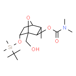 ChemSpider 2D Image | 6-{[Dimethyl(2-methyl-2-propanyl)silyl]oxy}-1-(hydroxymethyl)-3-methyl-7-oxabicyclo[2.2.1]hept-2-yl dimethylcarbamate | C17H33NO5Si