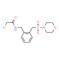 ChemSpider 2D Image | 2-Chloro-N-{2-[(4-morpholinylsulfonyl)methyl]benzyl}acetamide | C14H19ClN2O4S