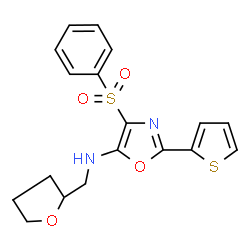 ChemSpider 2D Image | 4-(Phenylsulfonyl)-N-(tetrahydro-2-furanylmethyl)-2-(2-thienyl)-1,3-oxazol-5-amine | C18H18N2O4S2