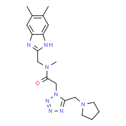 ChemSpider 2D Image | N-[(5,6-Dimethyl-1H-benzimidazol-2-yl)methyl]-N-methyl-2-[5-(1-pyrrolidinylmethyl)-1H-tetrazol-1-yl]acetamide | C19H26N8O
