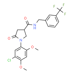 ChemSpider 2D Image | 1-(5-Chloro-2,4-dimethoxyphenyl)-5-oxo-N-[3-(trifluoromethyl)benzyl]-3-pyrrolidinecarboxamide | C21H20ClF3N2O4