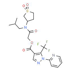 ChemSpider 2D Image | 2-[(1,1-Dioxidotetrahydro-3-thiophenyl)(isobutyl)amino]-2-oxoethyl 1-(2-pyridinyl)-5-(trifluoromethyl)-1H-pyrazole-4-carboxylate | C20H23F3N4O5S