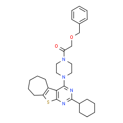 ChemSpider 2D Image | 2-(Benzyloxy)-1-[4-(2-cyclohexyl-6,7,8,9-tetrahydro-5H-cyclohepta[4,5]thieno[2,3-d]pyrimidin-4-yl)-1-piperazinyl]ethanone | C30H38N4O2S