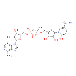 ChemSpider 2D Image | [[5-(6-aminopurin-9-yl)-3,4-dihydroxy-tetrahydrofuran-2-yl]methoxy-hydroxy-phosphoryl] [5-(5-carbamoyl-2-hydroxy-3,4-dihydro-2H-pyridin-1-yl)-3,4-dihydroxy-tetrahydrofuran-2-yl]methyl hydrogen phosphate | C21H31N7O15P2