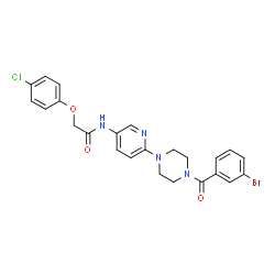ChemSpider 2D Image | N-{6-[4-(3-Bromobenzoyl)-1-piperazinyl]-3-pyridinyl}-2-(4-chlorophenoxy)acetamide | C24H22BrClN4O3