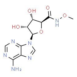 ChemSpider 2D Image | (2S,3S,4R,5R)-5-(6-Amino-9H-purin-9-yl)-3,4-dihydroxy-N-methoxytetrahydro-2-furancarboxamide | C11H14N6O5