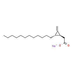 ChemSpider 2D Image | Sodium [(1S,2S)-2-dodecyl-3-methylenecyclopropyl]acetate | C18H31NaO2