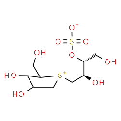 ChemSpider 2D Image | (2R,3R)-4-[3,4-Dihydroxy-2-(hydroxymethyl)tetrahydro-1-thiopheniumyl]-1,3-dihydroxy-2-butanyl sulfate | C9H18O9S2