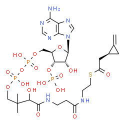 ChemSpider 2D Image | adenosine, 5'-O-[hydroxy[[hydroxy[3-hydroxy-2,2-dimethyl-4-[[3-[[2-[[2-[(1S)-2-methylenecyclopropyl]acetyl]thio]ethyl]amino]-3-oxopropyl]amino]-4-oxobutoxy]phosphinyl]oxy]phosphinyl]-, 3'-(dihydrogen phosphate) | C27H42N7O17P3S
