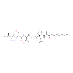 ChemSpider 2D Image | L-Alloisoleucyl-L-seryl-N-[(3R)-3-formyl-3-{[(3R)-3-hydroxy-2-methyleneundecanoyl](methyl)amino}-5-methyl-2-oxohexyl]-L-allothreoninamide | C34H61N5O9